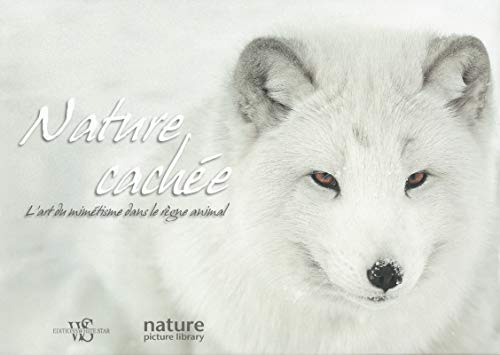 Beispielbild fr Nature Cache : L'art Du Mimtisme Dans Le Rgne Animal zum Verkauf von RECYCLIVRE