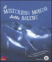 Stock image for MISTERIOSO MONDO DELLE BALENE for sale by libreriauniversitaria.it