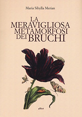 9788861929548: La meravigliosa metamorfosi dei bruchi