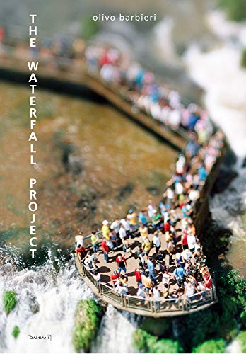 Imagen de archivo de The waterfall project (bilingual edition Italien / English) a la venta por Thomas Emig