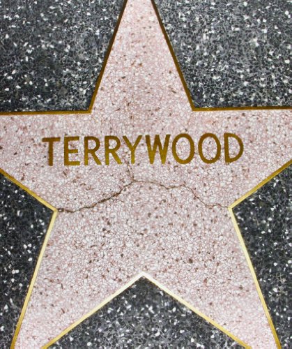 Stock image for Terry Richardson: Terrywood for sale by Solomon's Mine Books