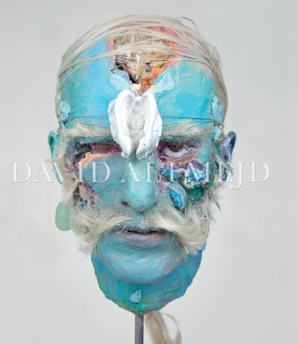 

David Altmejd