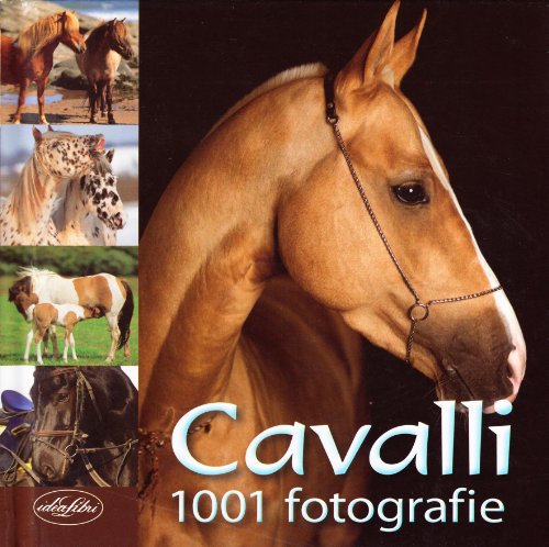 Cavalli 1001 fotografie