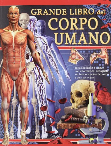 Beispielbild fr Grande libro del corpo umano zum Verkauf von medimops