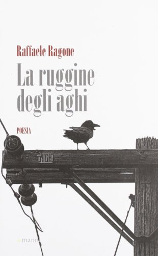 9788862664219: La ruggine degli aghi (Occasioni)