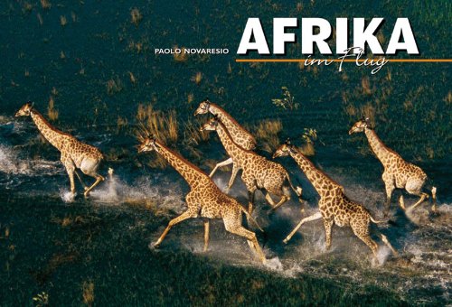 Stock image for Afrika im Flug (Lnder, Reisen, Abenteuer) for sale by medimops