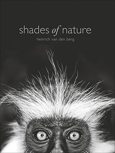 Stock image for Shades of Nature : Wildlife in Schwarz-Wei for sale by Antiquarius / Antiquariat Hackelbusch