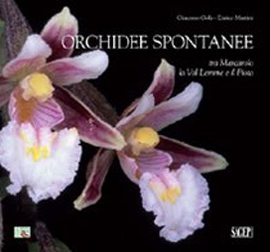 Stock image for Orchidee spontanee tra Marcarolo la Val Lemme e il Piota for sale by libreriauniversitaria.it