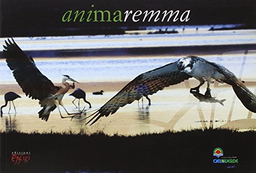 Beispielbild fr Animaremma zum Verkauf von medimops