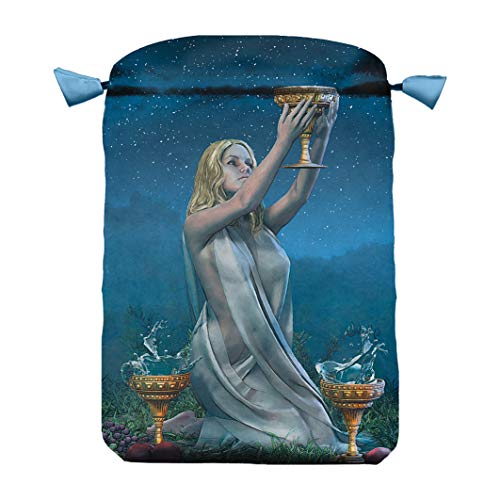 Stock image for Vice-Versa Tarot Bag for sale by GF Books, Inc.