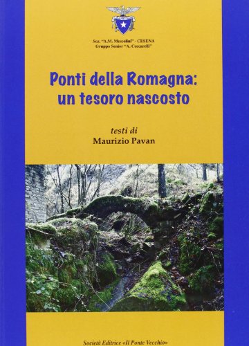 9788865412138: Ponti della Romagna. Un tesoro nascosto (Vicus. Testi e documenti di storia locale)