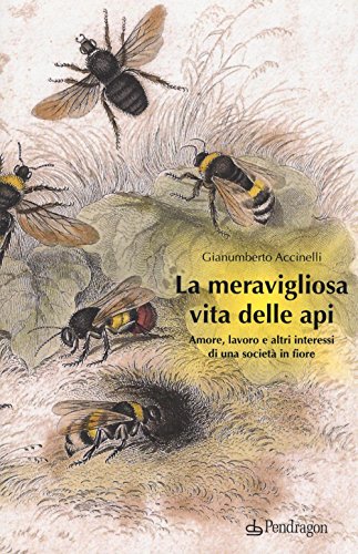 9788865987353: La meravigliosa vita delle api. Amore, lavoro e altri interessi di una società in fiore