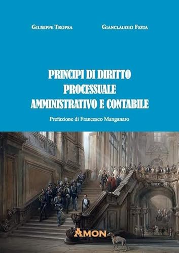 9788866031802: Principi di diritto processuale amministrativo e contabile