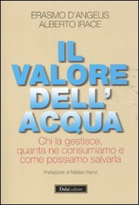 9788866202219: Il valore dell'acqua. Chi la gestisce, quanta ne consumiamo e come possiamo salvarla (I saggi)