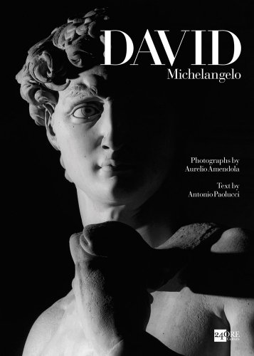 9788866481744: Michelangelo's david /anglais