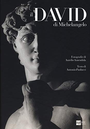 9788866481928: Il David di Michelangelo. Ediz. illustrata