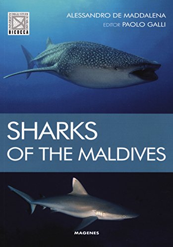 Imagen de archivo de Sharks of the maldives a la venta por Brook Bookstore