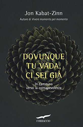 Stock image for Dovunque tu vada ci sei gi. Capire la ricchezza del nostro presente per iniziare il cammino verso la consapevolezza for sale by WorldofBooks