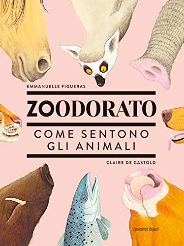 Beispielbild fr Zoodorato. Come sentono gli animali zum Verkauf von medimops