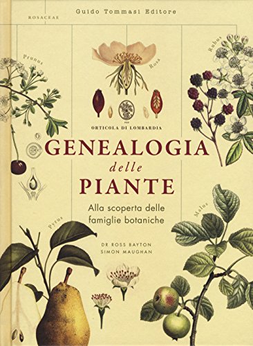 Beispielbild fr Genealogia delle piante zum Verkauf von libreriauniversitaria.it
