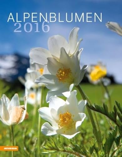 9788868390716: Alpenblumen 2016