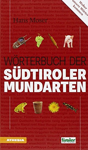 9788868391102: Wrterbuch der Sdtiroler Mundartenn