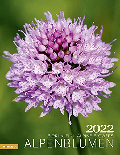 Beispielbild fr Alpenblumen Kalender 2022 - Wandkalender mit Monatskalendarium Platz fr Eintragungen/Notizen - 12 Farbfotos - 30 x 38,5 cm: Fiori alpini ? Alpine flowers zum Verkauf von medimops