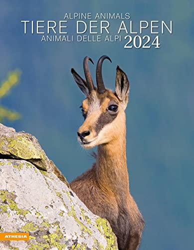 9788868396695: Tiere der Alpen-Animali delle Alpi-Alpine animals. Calendario 2024. Ediz. multilingue