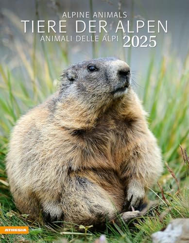 9788868397449: Tiere der Alpen - Kalender 2025: Animali delle Alpi - Alpine animals