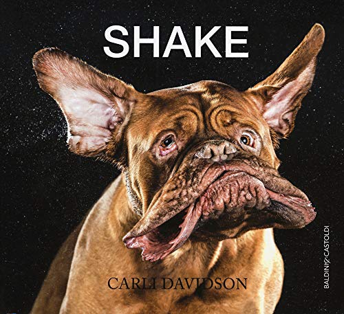 Imagen de archivo de Shake a la venta por libreriauniversitaria.it
