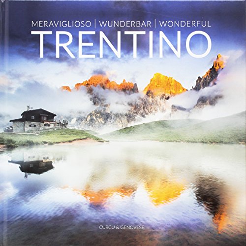 Stock image for Trentino. Meraviglioso-Wunderbar-Wonderful for sale by medimops