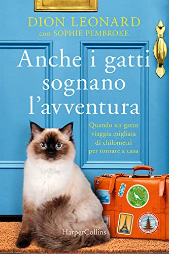 Imagen de archivo de Anche i gatti sognano l'avventura a la venta por libreriauniversitaria.it
