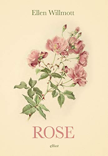 ROSE - WILLMOTT ELLEN