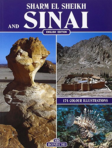 Stock image for The Peninsula of Sinai for sale by Wonder Book