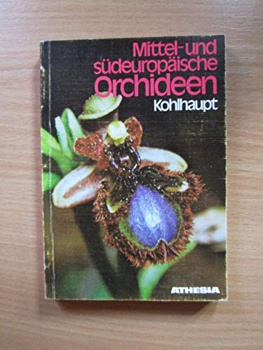 Mittel- und südeuropäische Orchideen - Kohlhaupt, Paula