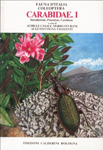 Beispielbild fr FAUNA D'ITALIA - 18. Coleoptera. Carabidae. I: Introduzione, Paussinae, Carabinae zum Verkauf von Flora & Fauna Books