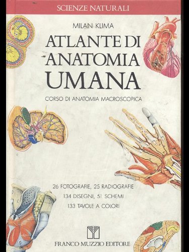Stock image for Atlante di anatomia umana (Scienze naturali) for sale by medimops