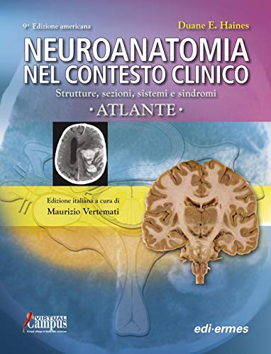 Beispielbild fr Neuroanatomia nel contesto clinico. Strutture, sezioni, sistemi e sindromi. Atlante zum Verkauf von medimops