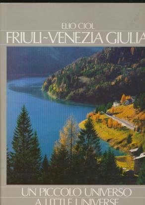 Beispielbild fr FRIULI-VENEZIA GIULIA: UN PICCOLO UNIVERSO [A LITTLE UNIVERSE] zum Verkauf von WorldofBooks