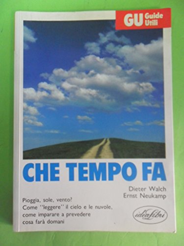 Beispielbild fr Che tempo fa (Guide utili) zum Verkauf von medimops