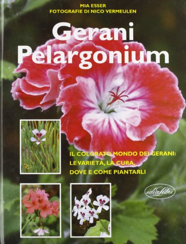 Beispielbild fr Gerani Pelargonium zum Verkauf von Apeiron Book Service
