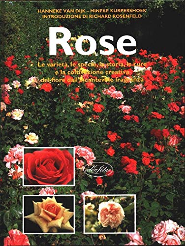 9788870825565: Rose