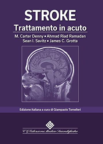 Stock image for STROKE. TRATTAMENTO IN ACUTO for sale by libreriauniversitaria.it