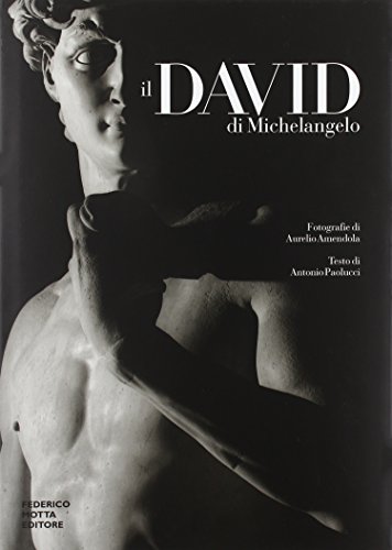 9788871793016: Il David di Michelangelo. Ediz. illustrata