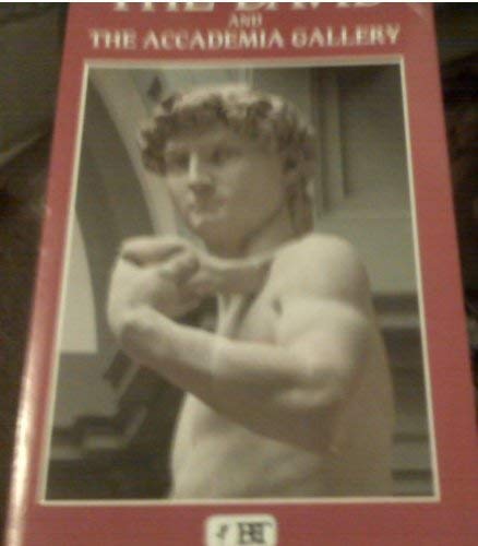 Stock image for The David and the Accademia Gallery for sale by Wonder Book