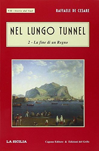 Stock image for Nel lungo tunnel (Storie dal Sud. La fine di un regno) for sale by medimops