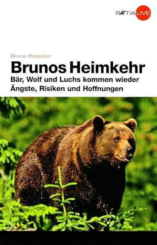 Beispielbild fr Brunos Heimkehr zum Verkauf von medimops