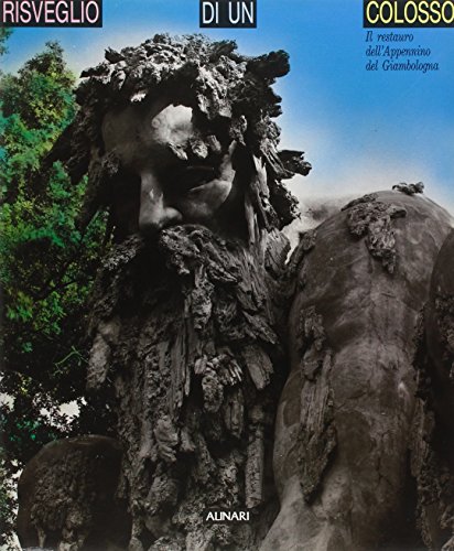 Stock image for Risveglio di un Colosso: Il Restauro dell'Appennino del Giambologna for sale by Recycle Bookstore