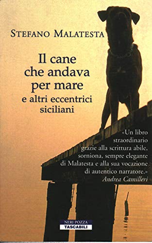 Stock image for Il cane che andava per mare e altri eccentrici siciliani (Tascabili) for sale by medimops