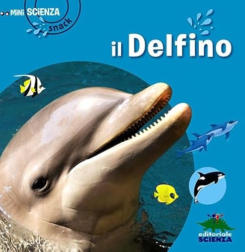 Stock image for Il delfino for sale by medimops